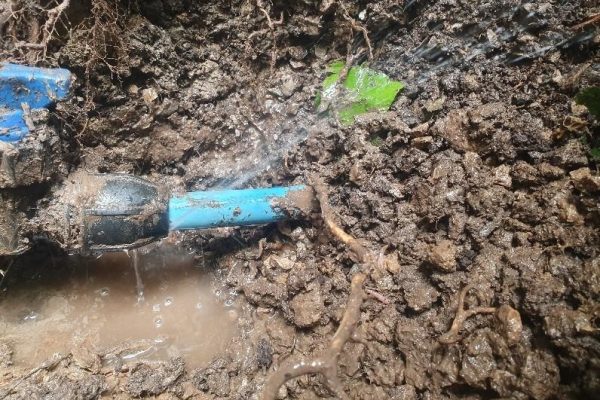 Water Mains Leak Detection Downham Market